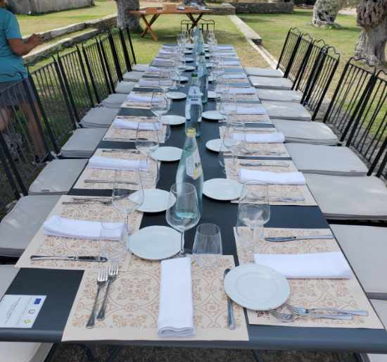 Long outdoor dining table set with plates, glasses, and cutlery under olive trees, ready for a meal or event.
