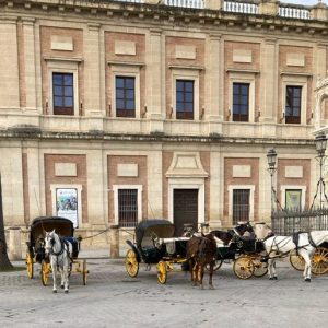 A horse drawn carriages in a plaza AI-generated content may be incorrect.